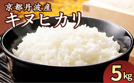 令和7年産 キヌヒカリ 5kg 精米 白米
