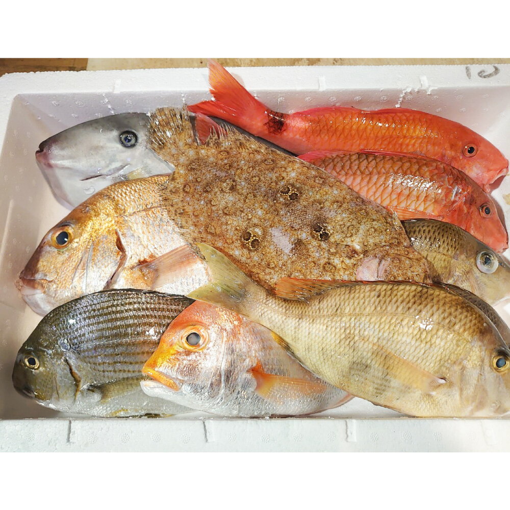 【ふるさと納税】長崎漁港発!長崎近海産旬の鮮魚セット（中） 詰め合わせ 旬 さかな サカナ 魚介類 地魚 鮮魚 水産物 漁港直送 冷蔵 長崎県産 国産 九州 長崎県 長崎市 送料無料 【2025年9月下旬～12月下旬迄発送予定】