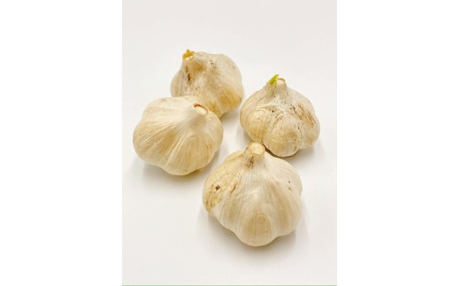 《先行予約》飛騨産 にんにく 300g ニンニク【7月中旬〜12月発送】水村農園 [Q3219]