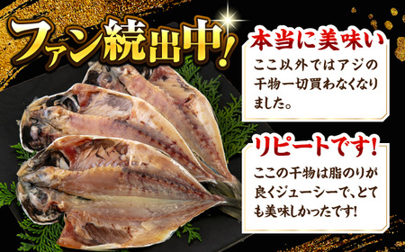 漁師町佐島 真アジの開き 約2.8kgセット 干物 アジ 鯵 開き 魚 横須賀 冷凍干物 厳選干物 人気干物 干物セット【石川水産】 [AKCX001]
