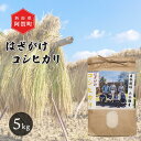 【ふるさと納税】 米 5kg 新潟県産 コシヒカリ はざ掛け 天日干し 令和6年産 越後奥阿賀産 | 小会瀬 はざがけ こしひかり 一等米 送料無料 お取り寄せ お米 白米 精米