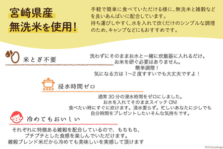 米 無洗米 11穀満足ごはん ごほうびごはん 250g×4 計 1kg [DANBO*DELI 宮崎県 日向市 452060022]