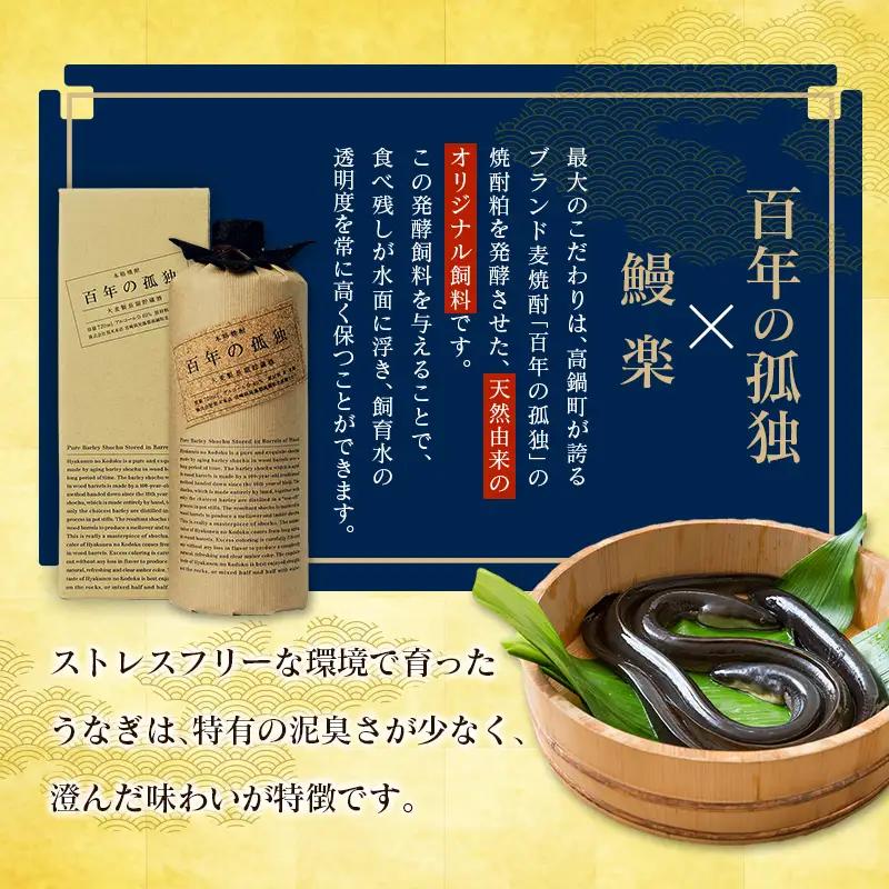 国産うなぎ！＜うなぎ 国産 うなぎ蒲焼 5～8尾 計1kg以上＞ふるさと納税 うなぎ 高級 長蒲焼 鰻 夏バテ防止 ウナギ 鰻 かば焼き 蒲焼き 丑の日 タレ 宮崎県産 国産 九州産 宮崎県 高鍋町 