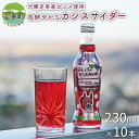 【ふるさと納税】あしょろカシスサイダー10本セット 北海道十勝足寄町　【果汁飲料・ジュース・飲料類・炭酸飲料】