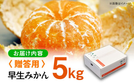 【贈答】早生みかん 5kg [AGAR008] みかんみかんみかんみかんみかん贈答贈答
