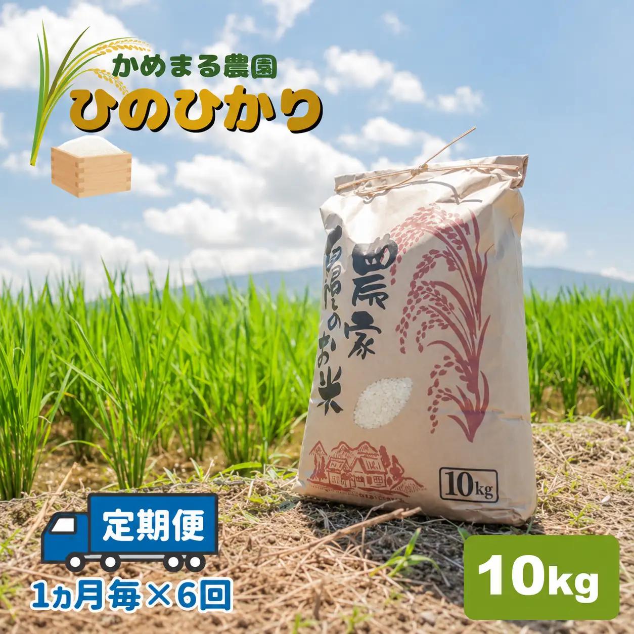 【定期便6回】米 ひのひかり 10kg×6回 | かめまる農園