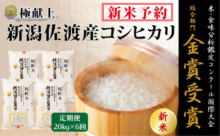 【新米・先行予約】20kg 新潟県佐渡産コシヒカリ20kg(5kg×4)×6回「6カ月定期便」