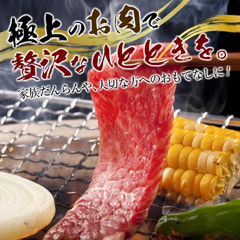 宮崎和牛『齋藤牛』赤身焼肉 計500g【C361】