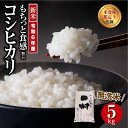 【ふるさと納税】 【令和6年産】 ＼新米／ 田村産 無洗米 コシヒカリ 5kg ギフト 贅沢 のし対応 1週間以内発送 福島 ふくしま 田村 贈答 美味しい 米 kome コメ ご飯 ブランド米 精米したて お米マイスター 匠 食味鑑定士 安藤米穀店