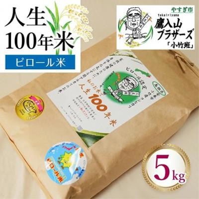 ふるさと納税 安来市 ピロール米コシヒカリ (白米) 5kg×1袋