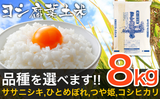 令和6年産 ヨシ腐葉土米 ひとめぼれ 精米8kg（4kg×2袋）