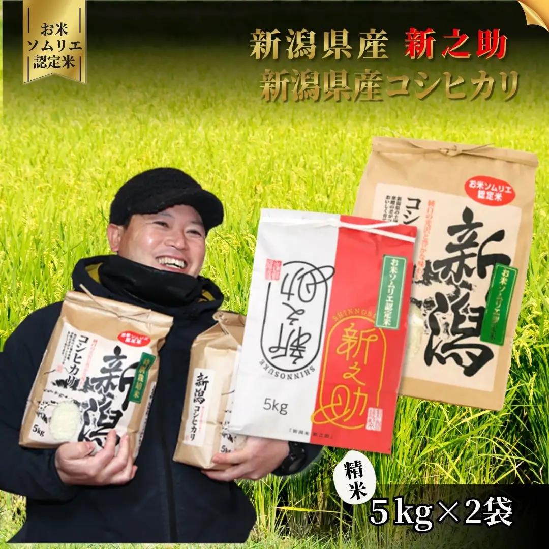 【先行予約】令和8年産 新米 食べ比べセット 10kg(コシヒカリ5kg・新之助5kg)【10月中旬発送開始】 | 新潟県産 白米 米 五泉市