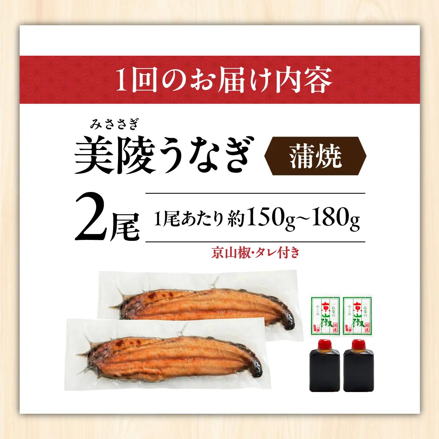 【全12回定期便】鰻 鰻の蒲焼 2尾/ 美陵鰻 鰻 うなぎ ウナギ 蒲焼 蒲焼き かば焼き かばやき 白焼き 白焼 しろやき しらやき 特大 肉厚 うな重 うな丼 ひつまぶし 惣菜 おかず タレ 山椒