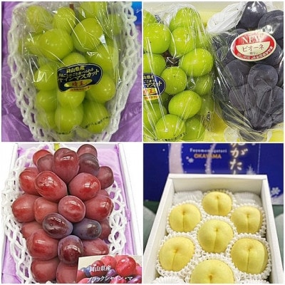 【発送月固定定期便】岡山県産  フルーツ定期便全4回【配送不可地域：離島】