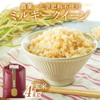【ふるさと納税】【予約受付 9月中旬以降順次発送】H-24【農薬・化学肥料不使用】清流揖保川の水と自然が育んだ「ミルキークイーン(4kg)」