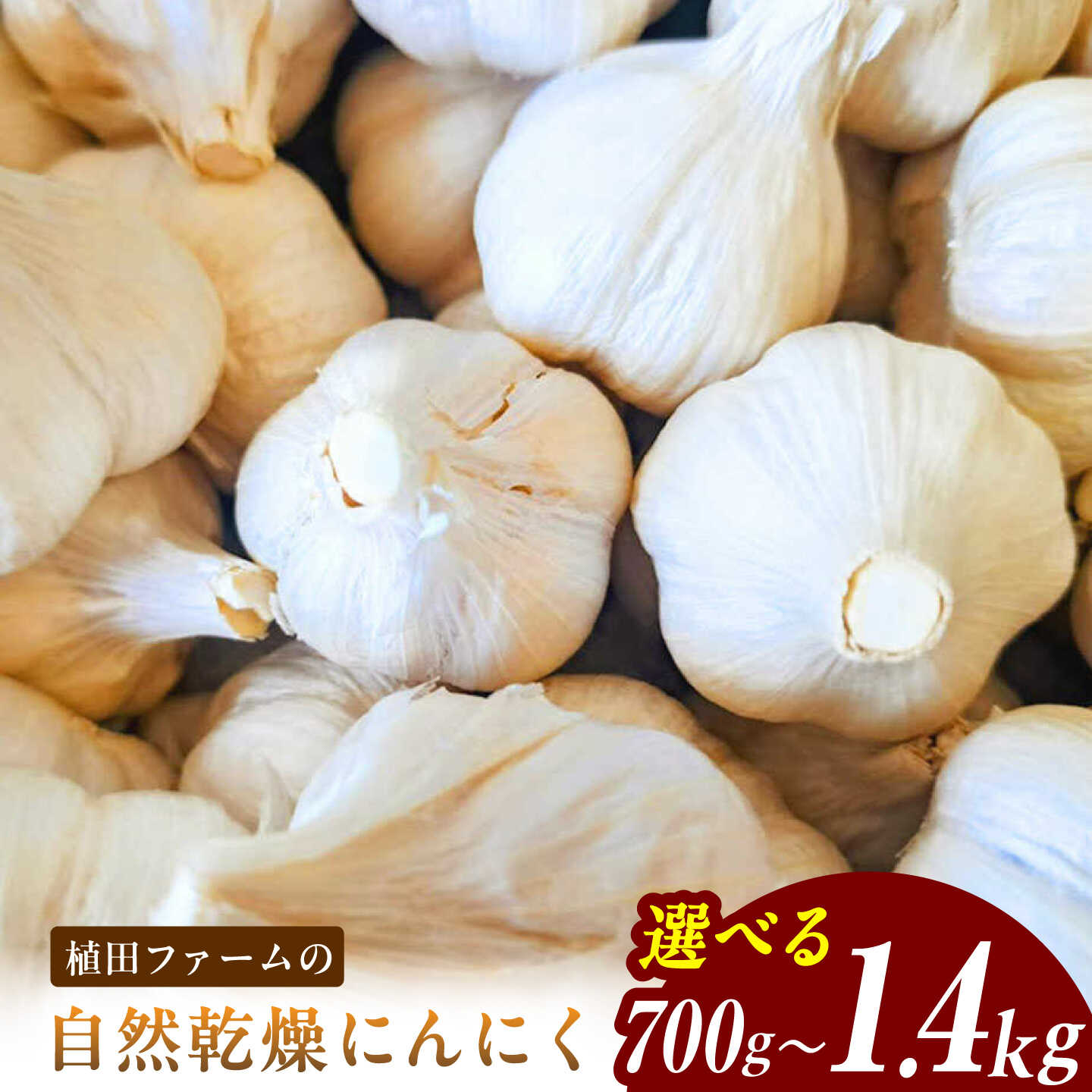 【ふるさと納税】【選べる内容量】植田ファームの自然乾燥平戸にんにく 700〜1400g 〈2026年6月10日〜2026年10月31日〉700グラム ニンニク ガーリック おつまみ お酒 料理 醤油漬け ガーリックオイル ペペロンチーノ パスタ スパゲッティ【株式会社　植田ファーム】[BQAT004]