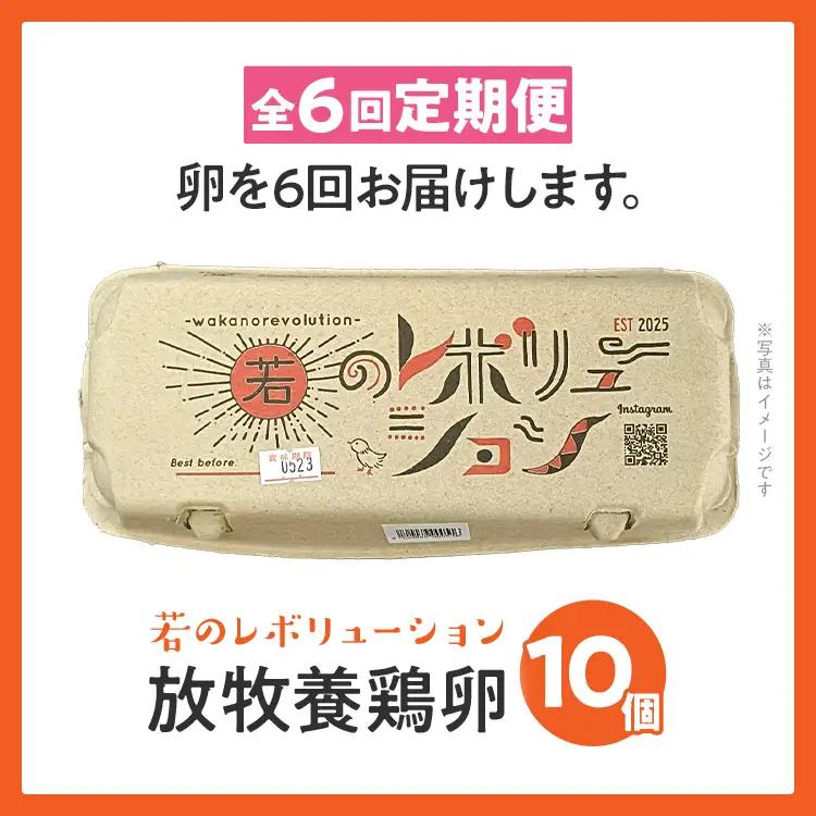卵 定期便 6回 放牧養鶏卵 10個 「破損補償2個含」 6ヶ月間 若のレボリューション 卵 ※北海道・沖縄・離島は配送不可