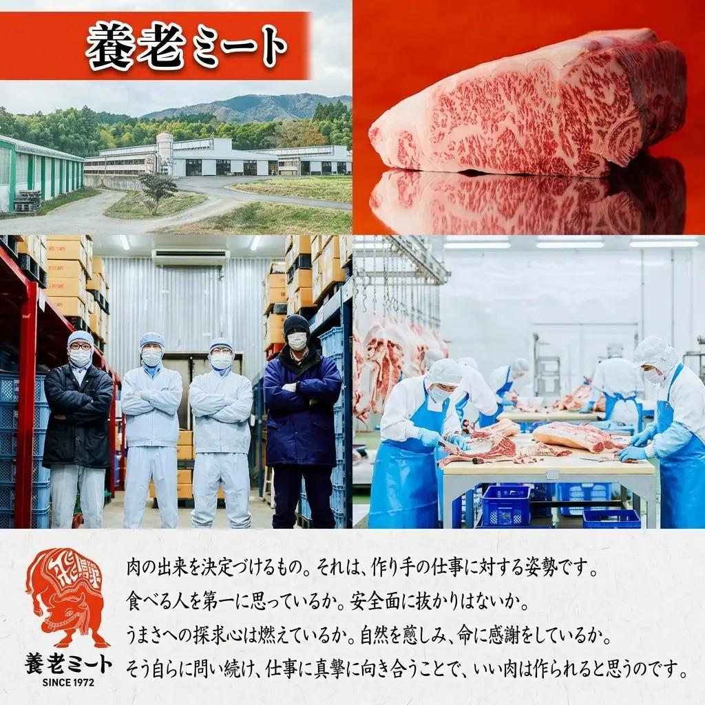 飛騨牛 モモ ブロック 和牛 飛騨牛【300g×3P】【冷凍】