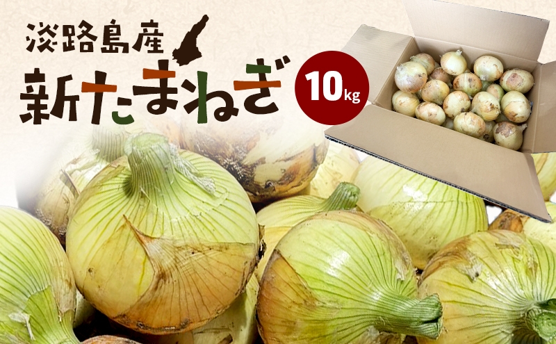 
            淡路島産新たまねぎ 10kg 新玉ねぎ タマネギ 甘い 兵庫県 洲本市 淡路島 [№5395-0453]
          