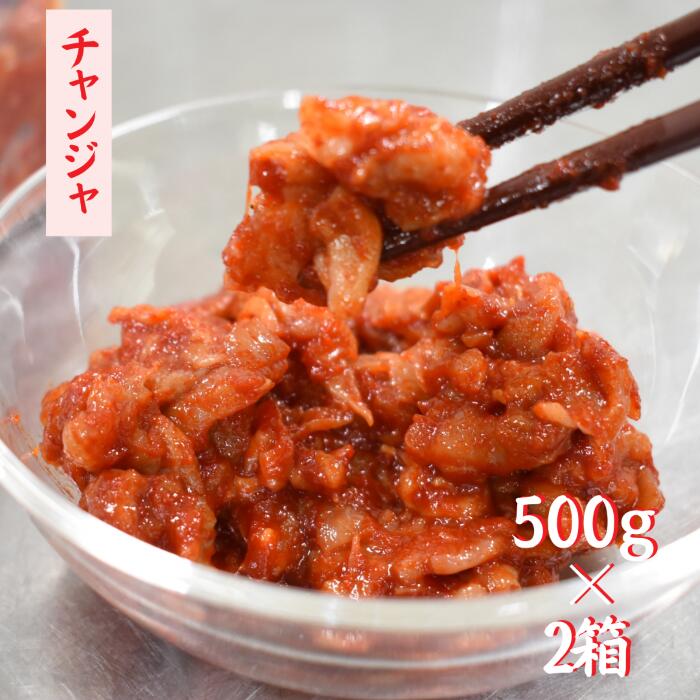 【ふるさと納税】ご飯＆酒の肴にぴったり！「チャンジャ 」冷凍でお届け（500g×2箱）