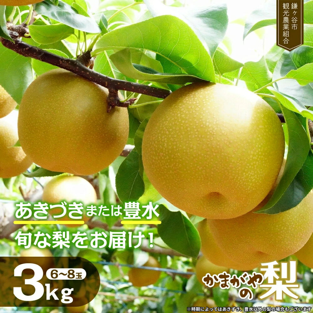 【ふるさと納税】 梨 2026年産 なし 豊水 あきづきなど 旬の梨 をお届け 約 3kg 豊水 あきづき 完熟 甘い 果物 フルーツ 和梨 贈答用 ギフトかまがやの梨 甘み 品種 千葉県 鎌ケ谷市 先行予約