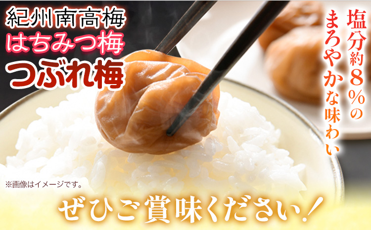 南高梅 はちみつ 梅 紀州南高梅 つぶれ 梅干し 約1.2kg 有限会社プラム《30日以内に出荷予定(土日祝除く)》和歌山県 日高町 送料無料 梅 うめ ウメ 南高梅 つぶれ梅 蜂蜜 紀州 梅干し訳あ