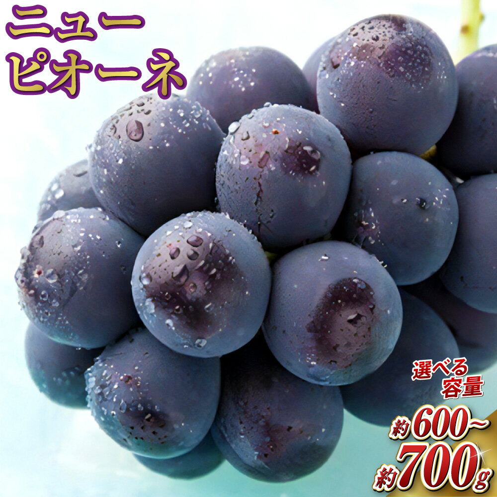 【ふるさと納税】〈選べる容量〉 岡山県産ニューピオーネ 1房 約700g 又は 約600g ぶどう ブドウ 葡萄 フルーツ 果物 くだもの 果実 種なし 種無し 国産 冷蔵 岡山県 奈義町 送料無料 【2025年8月上旬～10月上旬迄発送予定】