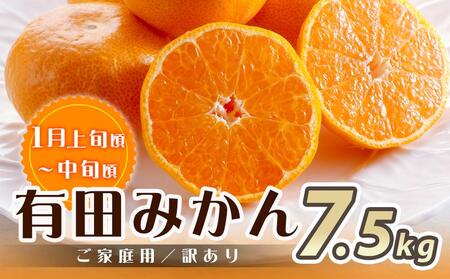 【魚鶴商店厳選】和歌山人気の柑橘ご家庭用・訳あり定期便（みかん・不知火・清見オレンジ）【定期便全3回】