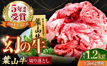 【全3回定期便】葉山牛 切り落とし300g×4パック 小分け 牛肉 切り落とし 横須賀 冷凍  計1.2kg【株式会社羽根】 [AKAG033]