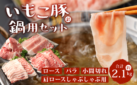 いもこ豚(彩) 鍋用セット 2.1kg セット  ロース バラ 小間切れ 肩ロースしゃぶしゃぶ用[044-1136]