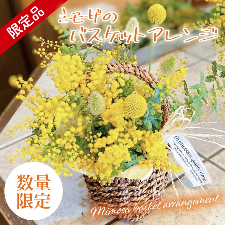 【ふるさと納税】【3月以降発送・数量限定】ミモザのバスケットアレンジ（限定品）【インテリア おしゃれ 壁飾り プレゼント お花 ギフト ナチュラル アレンジ フラワーアレンジ 水戸市 水戸 茨城県 10000円以内 1万円以内】（KW-4）