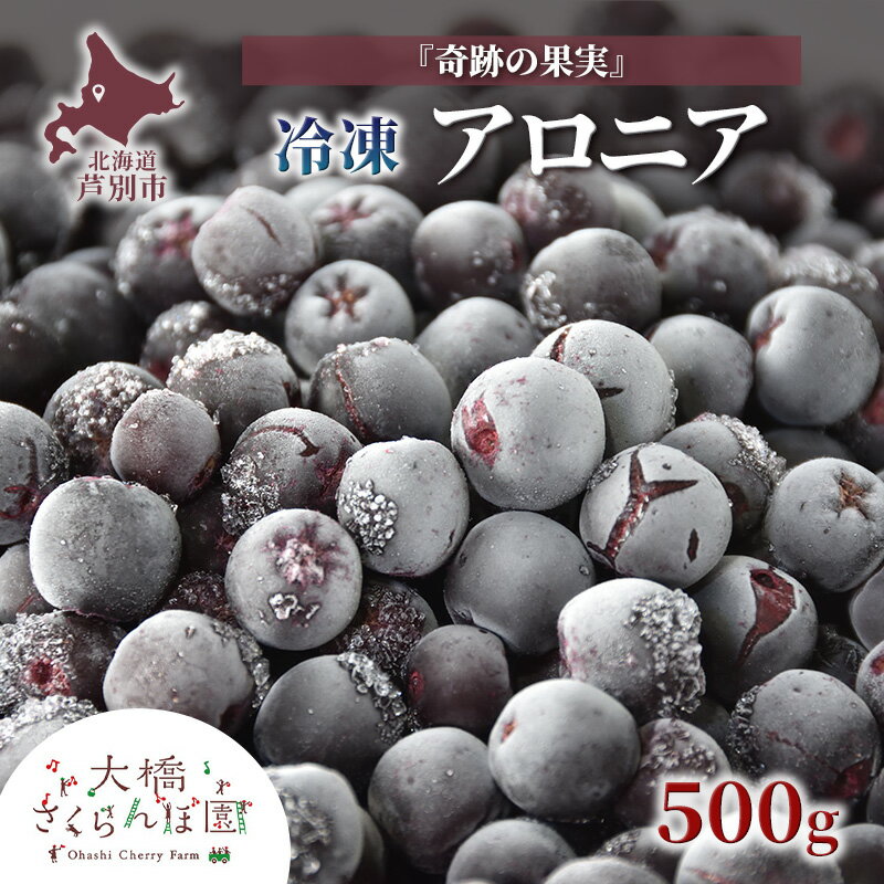 【ふるさと納税】アロニア 500g 冷凍 果物 くだもの フルーツ 旬の果物 旬のフルーツ 大橋さくらんぼ園 果物類 フルーツ デザート 完熟 急速冷凍 新鮮 美味しい 人気 冷凍配送 北海道 芦別市