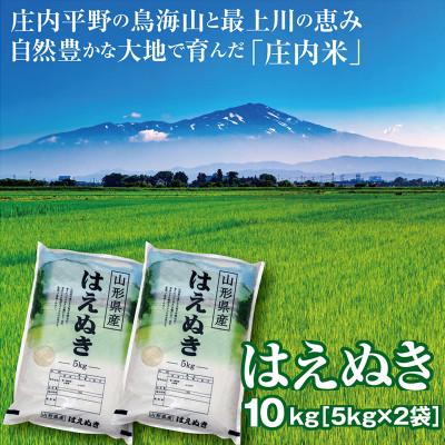ふるさと納税 酒田市 【令和7年産】山形県の米どころ庄内平野で育った庄内米　はえぬき5kg×2袋計10kg(精米)