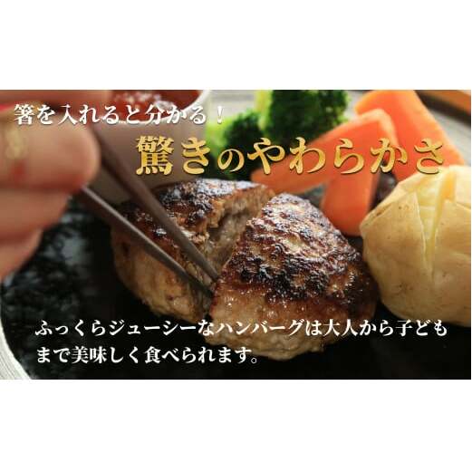 佐賀の肉汁ハンバーグ 無添加 150g×8個(1.2kg) 佐賀産豚肉×佐賀牛 ハンバーグ 無添加 ハンバーグ 国産 ハンバーグ 手ごね ハンバーグ 無添加 冷凍 ハンバーグ 無添加 ハンバーグ ハン