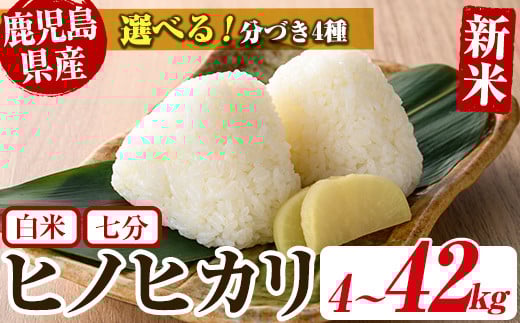 
            No.563 ＜新米・令和6年産！＞選べる国産米！鹿児島県産ヒノヒカリ(4～42kg) 国産 九州産 鹿児島県産 米 お米 おこめ 定期便 ひのひかり 白米 七分 おにぎり お弁当 ご飯 ごはん 令和6年産 新米【ライスセンターひがし】
          
