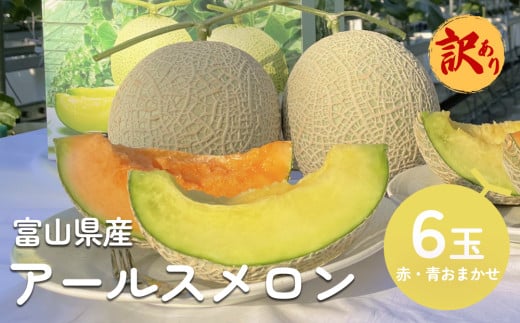 【訳あり】アールスメロン 6個セット（赤青おまかせ）  富山県 氷見市 メロン めろん 果物 くだもの フルーツ