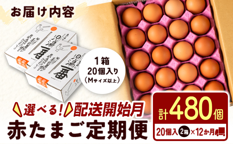 ＜配送開始月が選べる!!＞児湯養鶏自慢の卵 ネッカリッチ赤たまご「児湯一番」 計480個 （20個入×2箱）×12か月定期便 生活応援 ※2026年12月配送開始【E19-2612】