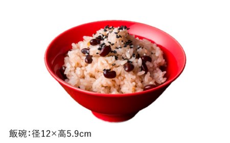 【波佐見焼】赤紅（あかべに）色 6型セット 小皿 茶碗 小鉢 大皿  食器 皿 【DRESS】 [SD10] 波佐見焼