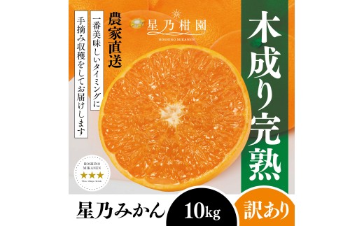 ＜訳あり＞星乃みかん園の星乃みかん(10kg)＜E45-64＞【1339361】 YWTAZ027