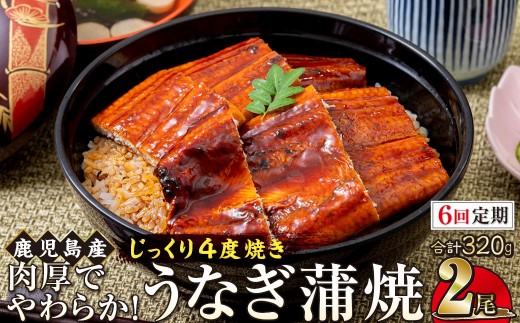 
                  【6回定期】うなぎ 蒲焼 160g×2尾【鹿児島産】地下水で育てた絶品鰻
                