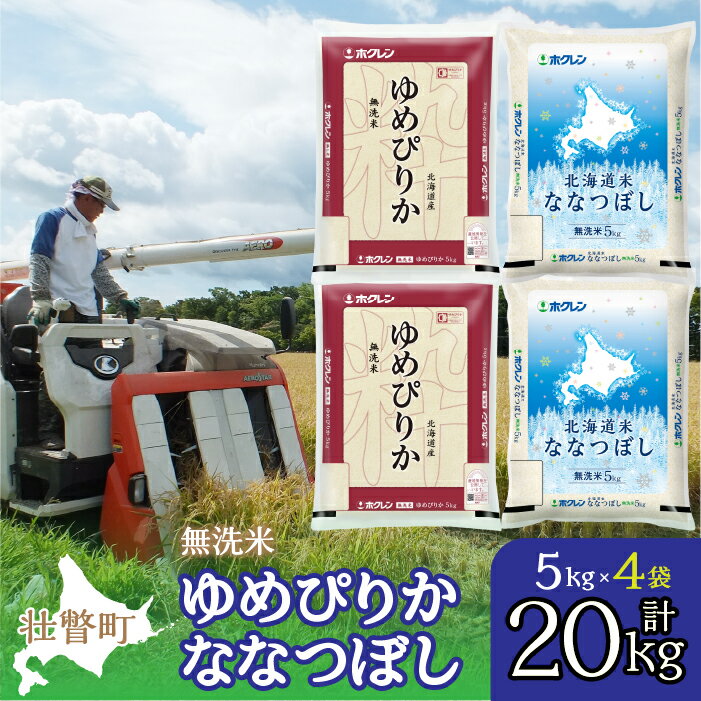 【ふるさと納税】【令和7年産】（無洗米20kg）食べ比べセット（ゆめぴりか、ななつぼし） 【 ふるさと納税 人気 おすすめ ランキング 北海道産 米 こめ 無洗米 白米 ご飯 ゆめぴりか ななつぼし セット 食べ比べ 北海道 壮瞥町 送料無料 】 SBTD146