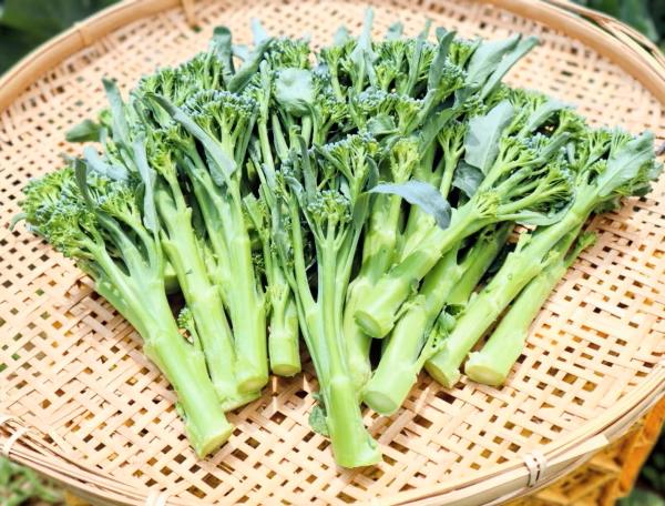 
                  【大好評♪】 選べる！箱いっぱい入れます　茎ブロッコリー（約1,300～2,600g）『from 名水の里 秦野』
                