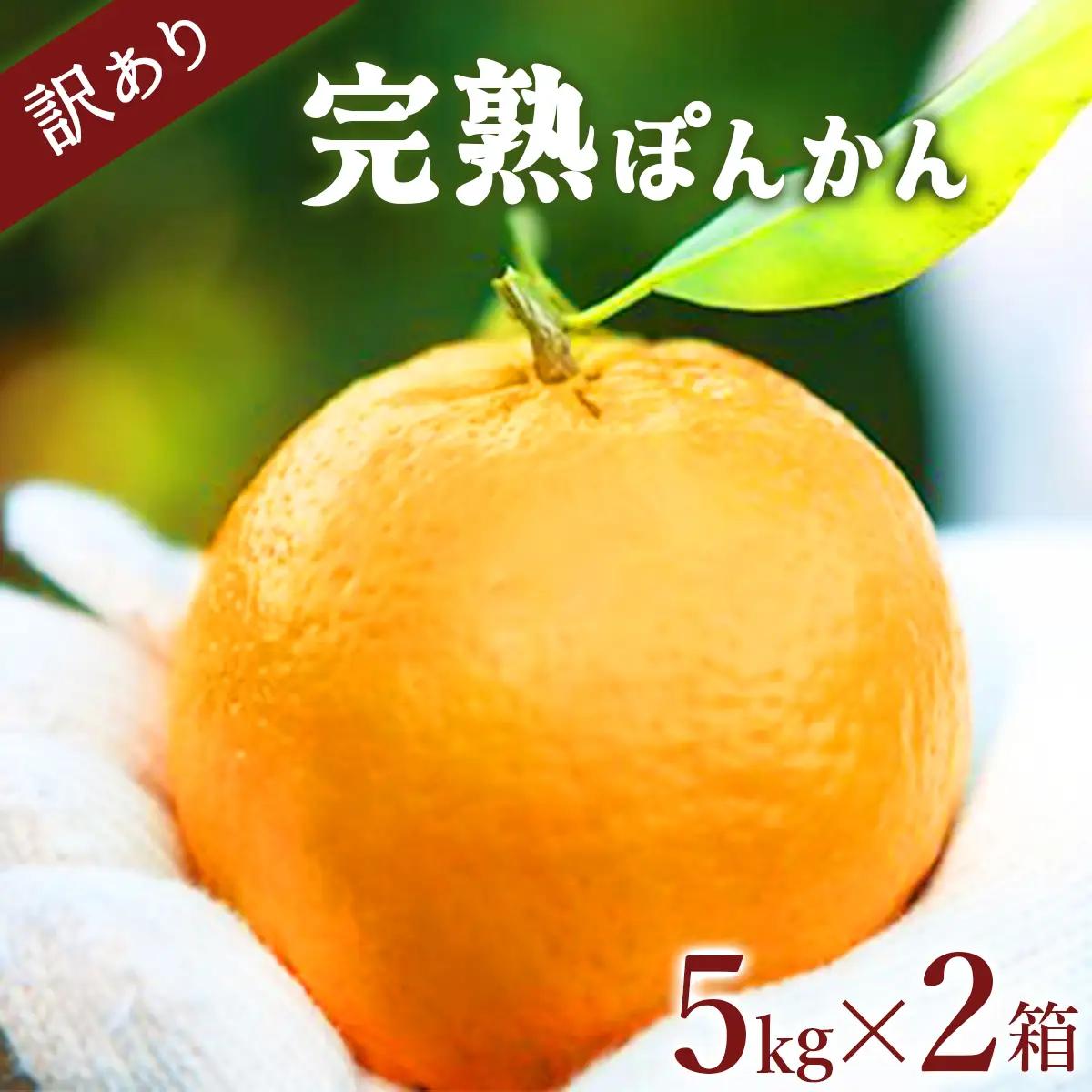 【先行予約】訳アリ完熟ぽんかん＜5kg＞×2箱セット10kg  【株式会社フクチャンFARM】