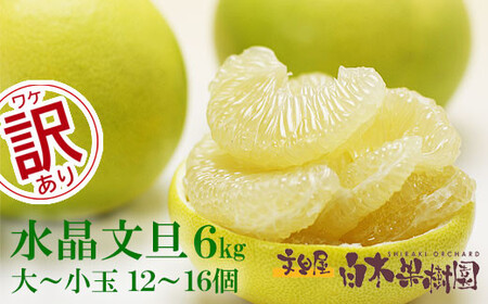 【先行予約】【訳あり】水晶文旦 ご家庭用お得箱（Mサイズ〜4Lサイズ） 約6kg（12〜16個入り） 高知県土佐市 【株式会社SHIRAKI】 [BQAI022]