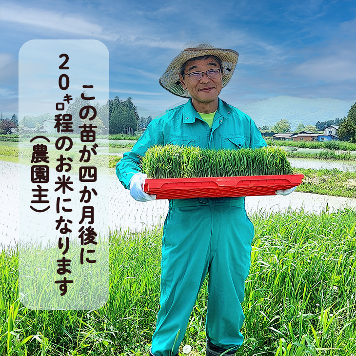 ＜令和8年産予約受付＞銀河のしずく厳選プレミアム 玄米2kg 【2231】_イメージ3