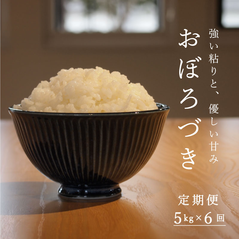 【ふるさと納税】※令和7年産※ ≪定期便6ヶ月≫ おぼろづき 5kg×6回 30kg 以上 北海道米 北海道産 当麻町 長谷川農園 北海道 精米 米 定期便 定期 送料無料 お取り寄せ