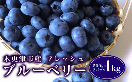 木更津市産フレッシュ ブルーベリー １kg（５００ｇ×２パック） KCA001