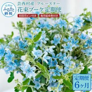 《6ヵ月定期便》 ブルースター 花束 初回花瓶付 延命剤付き