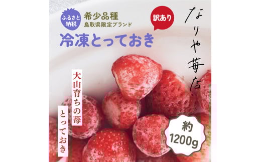 MI-02　【訳あり】冷凍とっておき苺（約1200g）