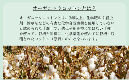 メイドインアースの純タオル［バスタオル１枚］【I002450BT1】